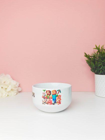 Minecraft bowl